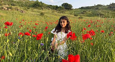 Iğdır'da gelincik tarlaları görsel şölen sunuyor