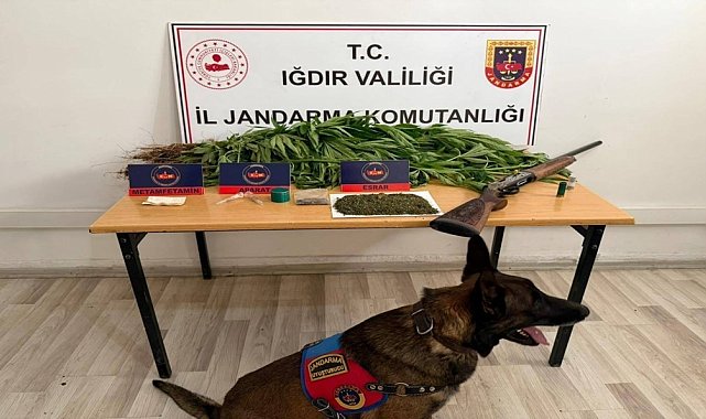 Iğdır'da jandarmadan uyuşturucu operasyonu: 1 kişi tutuklandı