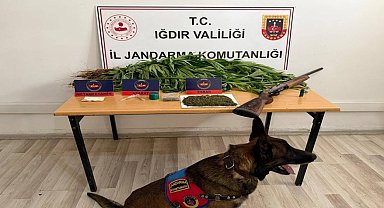 Iğdır'da jandarmadan uyuşturucu operasyonu: 1 kişi tutuklandı
