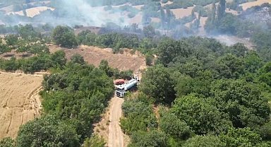 İnegöl'de orman yangını kontrol altına aldı, yangının çıkış nedeni ortaya çıktı