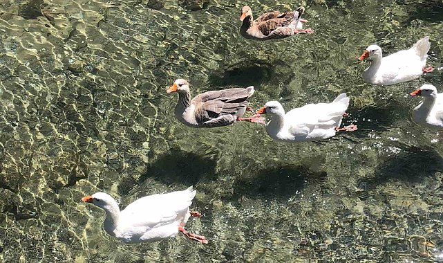 İnönü Havacılık Eğitim Merkezi'ndeki doğal güzellik