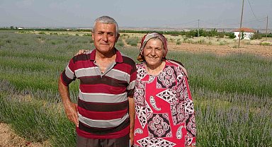 İnternetten gördüler, lavanta üreticisi oldular