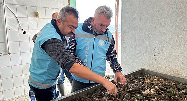 Isparta'da su ürünleri av yasağı bugün itibarıyla sona erdi