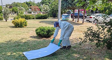 İstanbul Büyükşehir'den kene ile mücadele