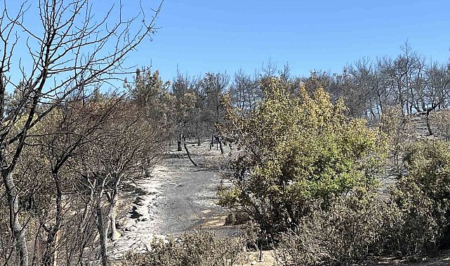 İzmir Aliağa yangını kontrol altında