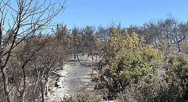 İzmir Aliağa yangını kontrol altında