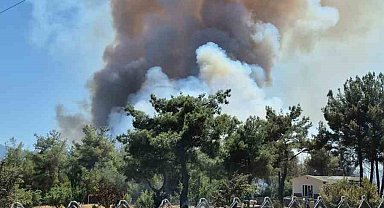 İzmir Bornova'da orman yangını