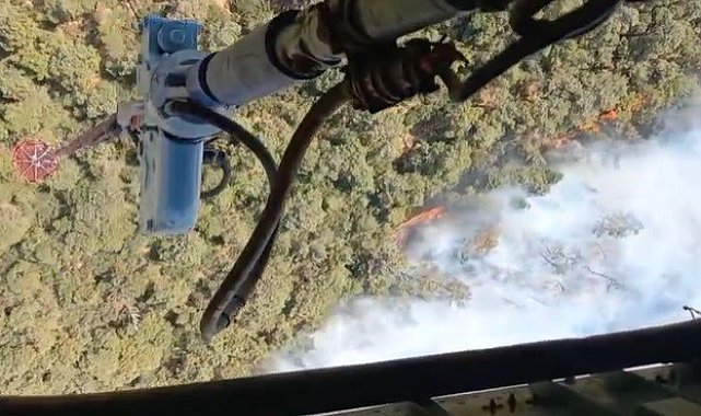 İzmir Foça'da orman yangını: Havadan ve karadan müdahale başladı