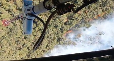 İzmir Foça'da orman yangını: Havadan ve karadan müdahale başladı