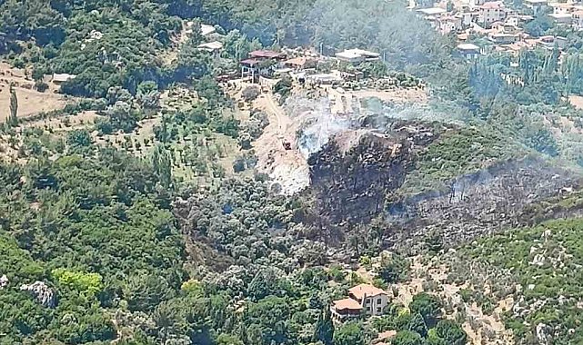 İzmir Kemalpaşa'da orman yangını