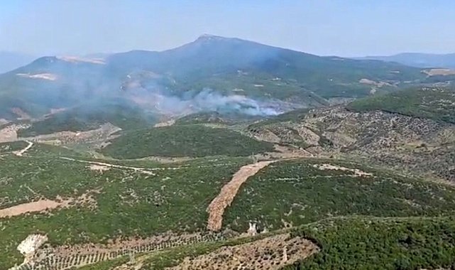 İzmir Torbalı'da orman yangınına müdahale sürüyor