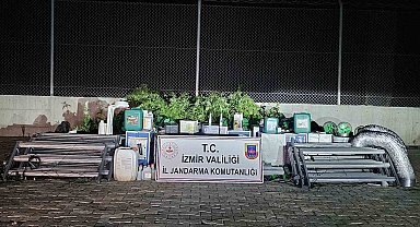İzmir'de 'skunk' operasyonu: 183 kök ele geçirildi