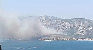 İzmir'de çıkan orman yangınına havadan ve karadan müdahale başladı