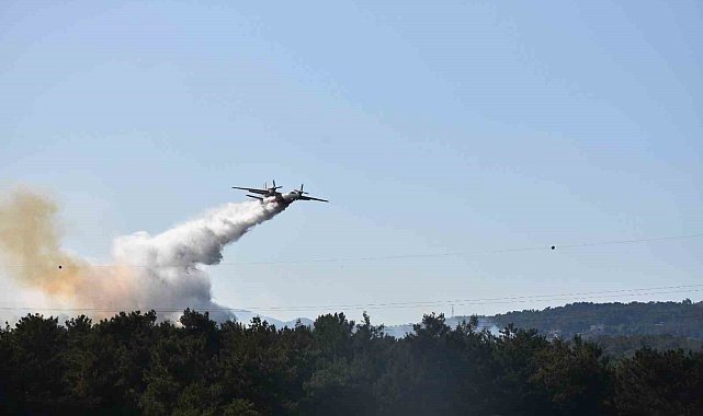 İzmir'de orman yangını kontrol altında
