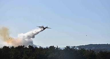 İzmir'de orman yangını kontrol altında