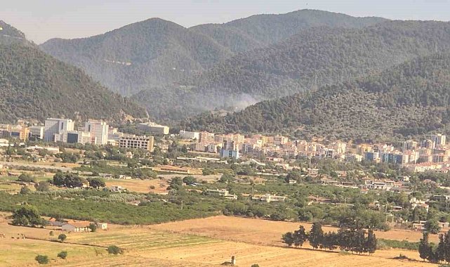 İzmir'de orman yangını: Müdahale sürüyor