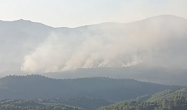 İzmir'de orman yangını sürüyor... Günün aydınlanmasıyla havadan müdahale yeniden başladı