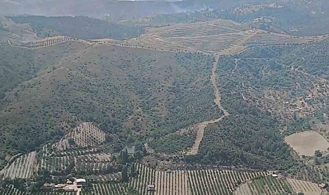 İzmir'de ormanlık arazide çıkan yangın kontrol altında