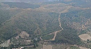 İzmir'de ormanlık arazide çıkan yangın kontrol altında