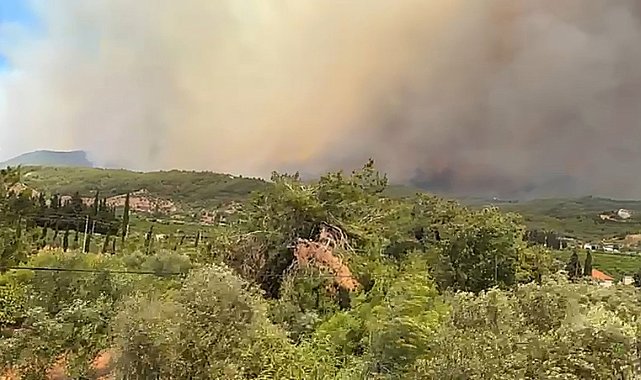 İzmir'deki orman yangında kullanılan uçak sayısı 18'e çıktı