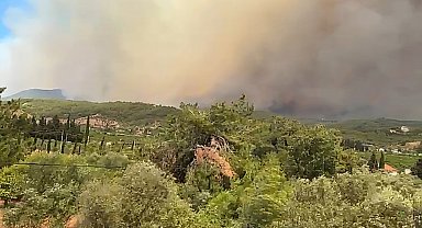 İzmir'deki orman yangında kullanılan uçak sayısı 18'e çıktı