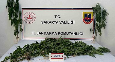 Jandarma uyuşturucuya geçit vermiyor: 3 tutuklama