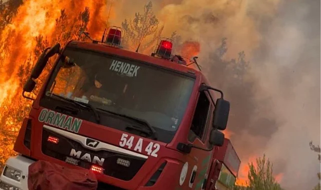 Jandarma'dan orman yangınlarına ilişkin soruşturma: 11 gözaltı!