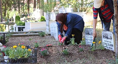 Kabirlere dikilmek amacıyla binlerce çiçek dağıtıldı