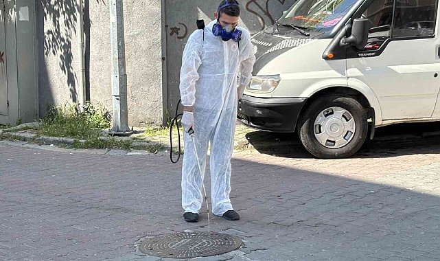 Kağıthane'de yaz boyu haşerelere geçit yok