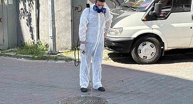 Kağıthane'de yaz boyu haşerelere geçit yok