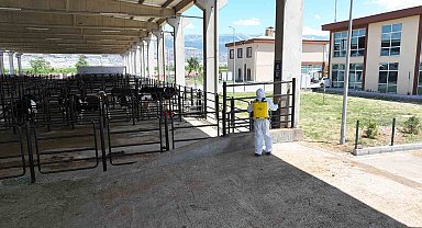 Kahramanmaraş Hayvan Borsası hazır