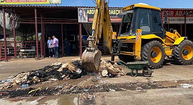 Kahramanmaraş'ta hayvansal atıklar temizlendi