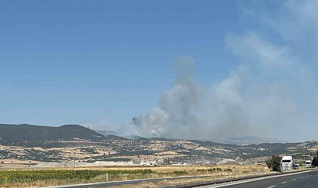 Kahramanmaraş'ta ikinci orman yangını