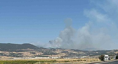 Kahramanmaraş'ta ikinci orman yangını
