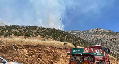 Kahramanmaraş'ta orman yangını sürüyor