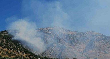 Kahramanmaraş'ta orman yangını
