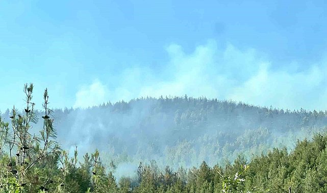 Kahramanmaraş'taki ikinci orman yangını da kontrol altında