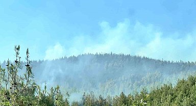 Kahramanmaraş'taki ikinci orman yangını da kontrol altında