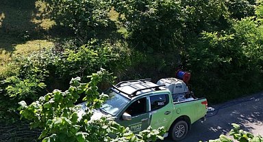 Kahverengi kokarca FINVER bahçelerinde takip altında