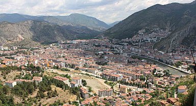 Kahverengi kokarca yayılıyor: Amasya'da da tespit edildi