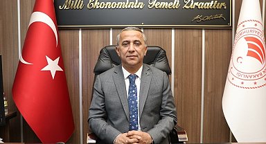 Kahverengi kokarcada mücadele zamanı