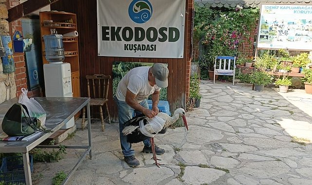 Kamyon çarpan leylek tedavi altına alındı, Başkan Sürücü 'dikkat' çağrısı yaptı
