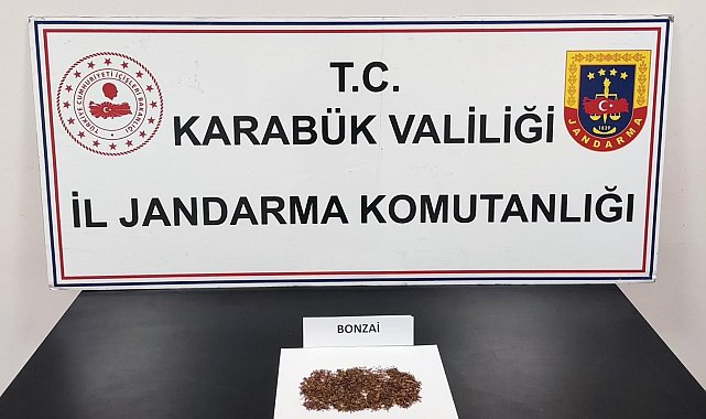 Karabük'te uyuşturucu operasyonu: 1 gözaltı
