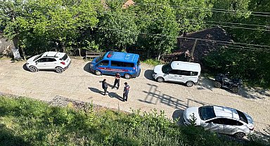 Karabük'teki köpek ölümleriyle ilgili inceleme başlatıldı