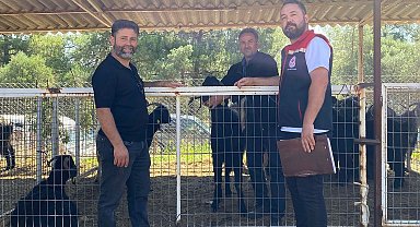 Karacasu'da kurban satış yerleri denetlendi