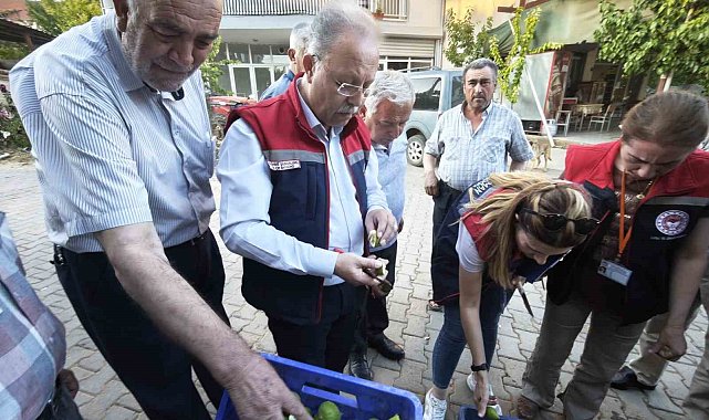 Karacasu'da üreticiye kaliteli ilek uyarısı