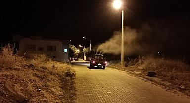 Karacasu'nun 'sinek timi' işbaşında