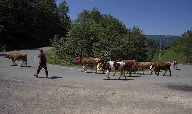 Karadeniz'den renkli yayla göçleri