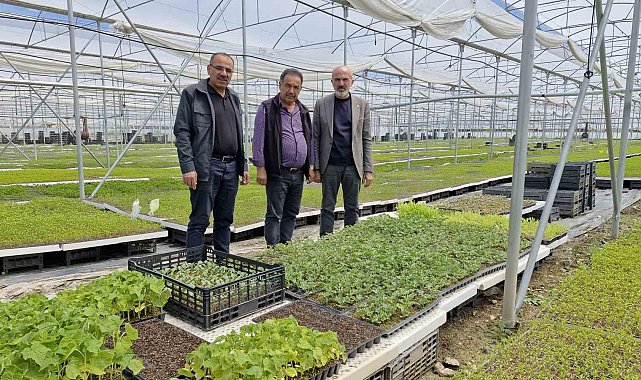 Karaman'da bir çiftçi kurduğu serada 5 milyon fide üretiyor