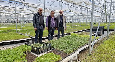 Karaman'da bir çiftçi kurduğu serada 5 milyon fide üretiyor